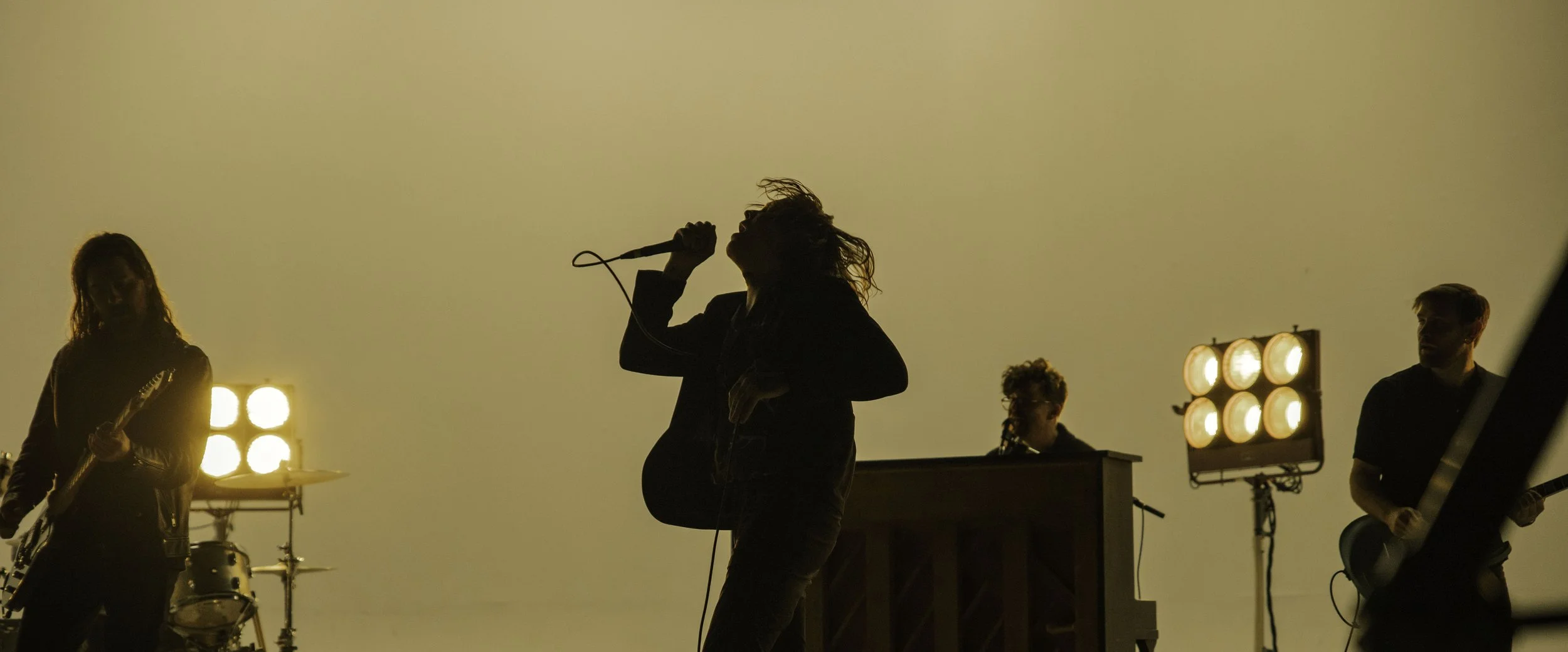 TDWP8.jpg