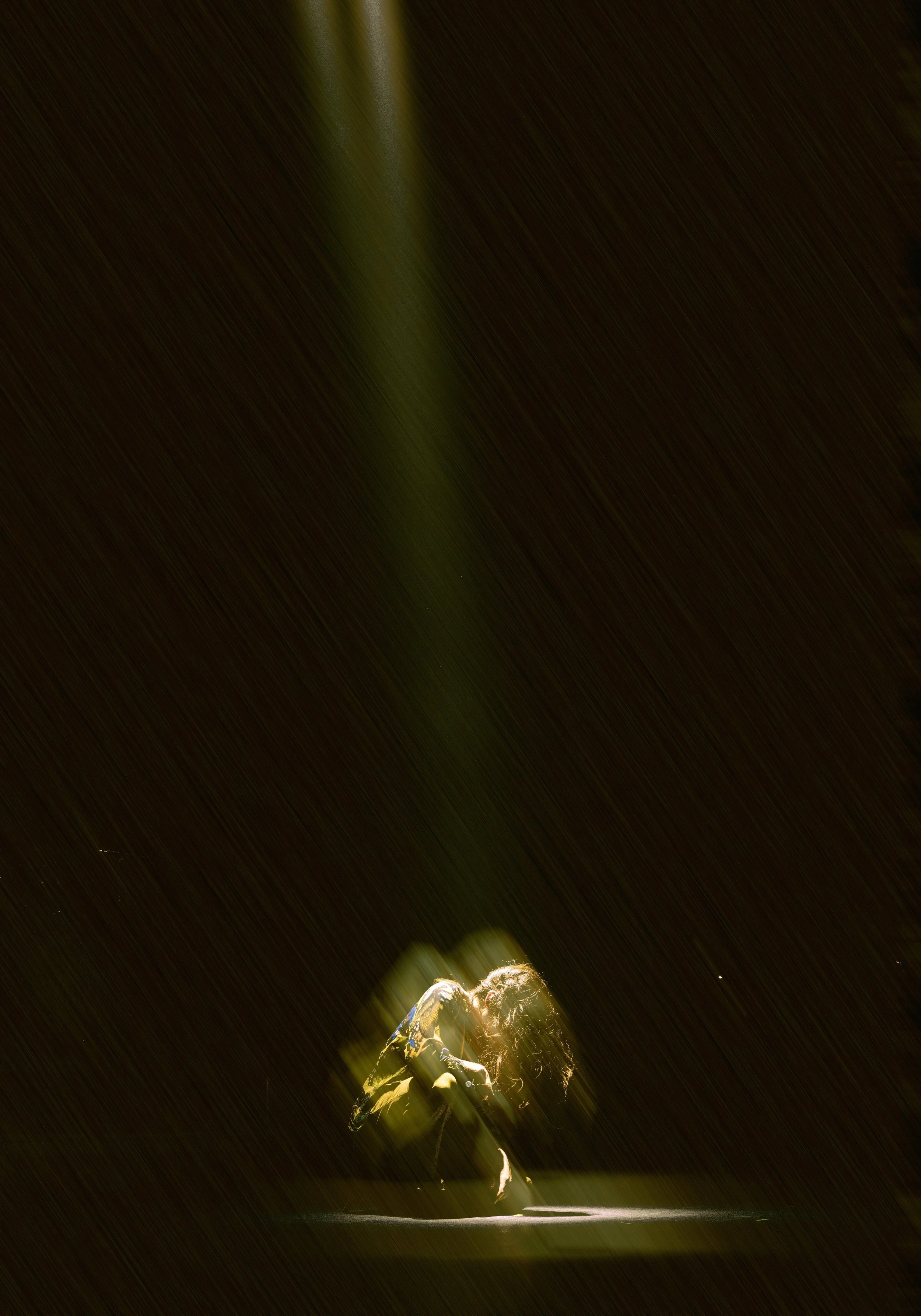 BIGWILD9.jpg