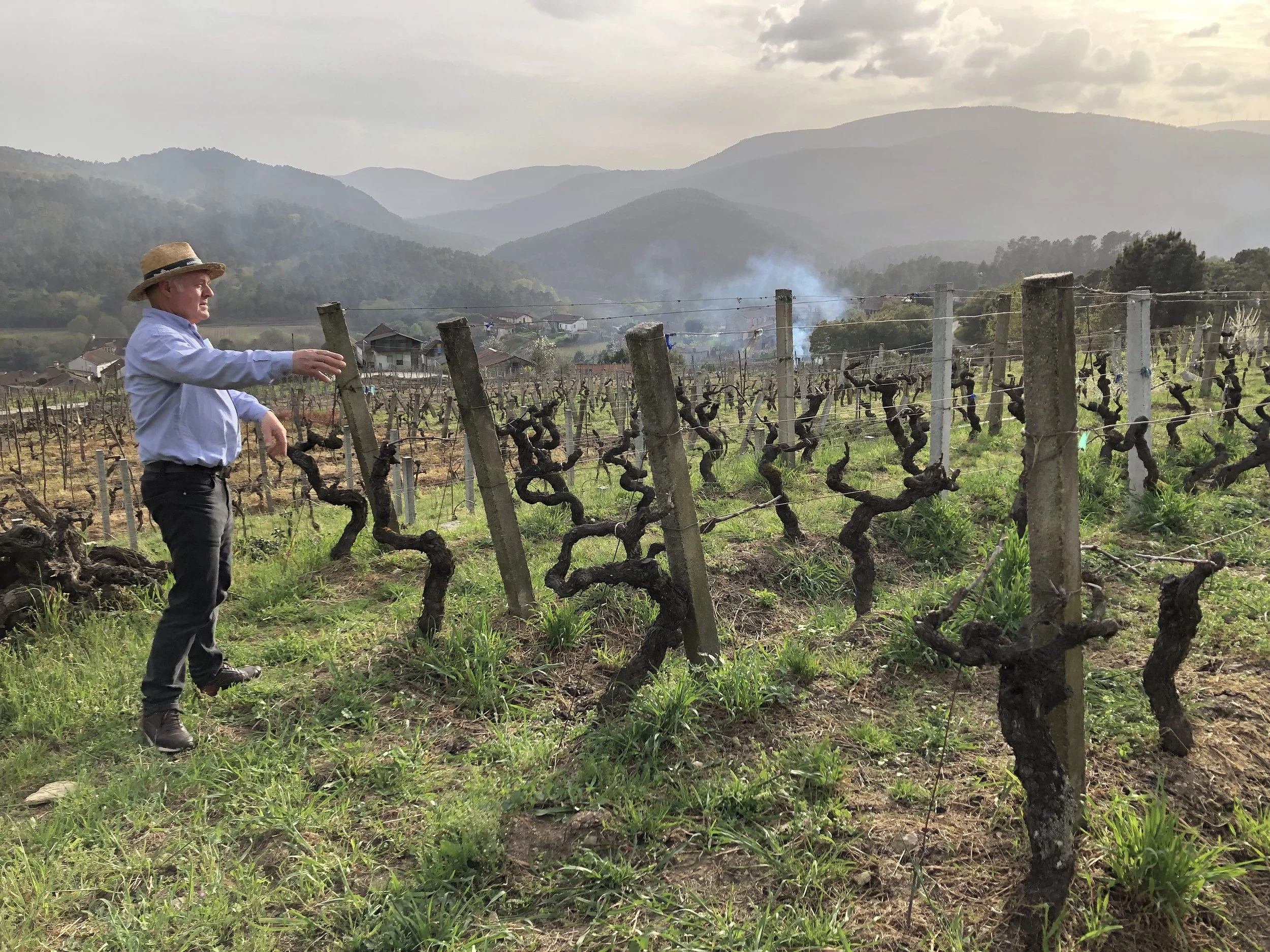 Luis Rodriguez: A Rare Gem in Ribeiro