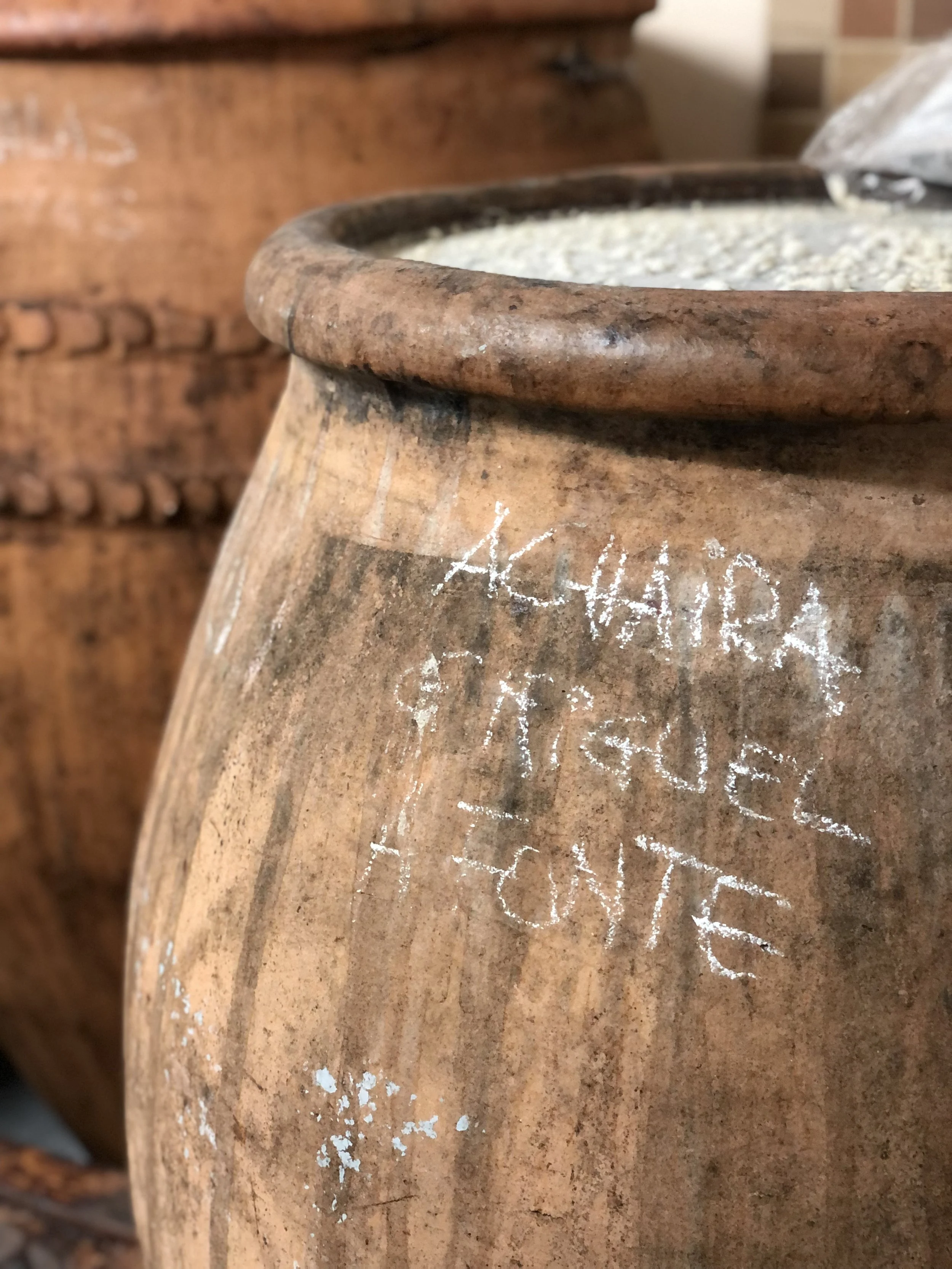 La Perdida: The Island Wines from Valdeorras