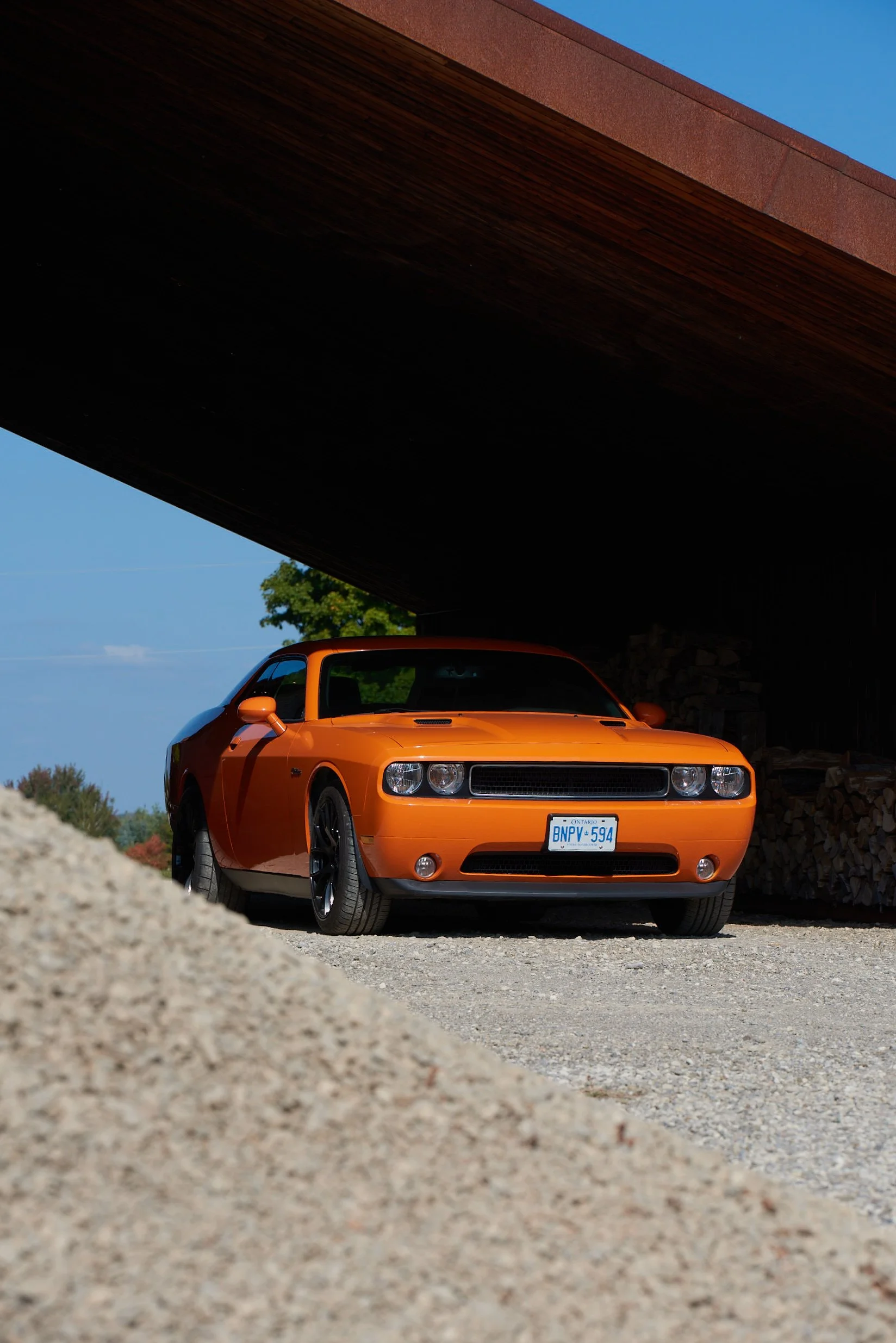 DSC_8294.jpg