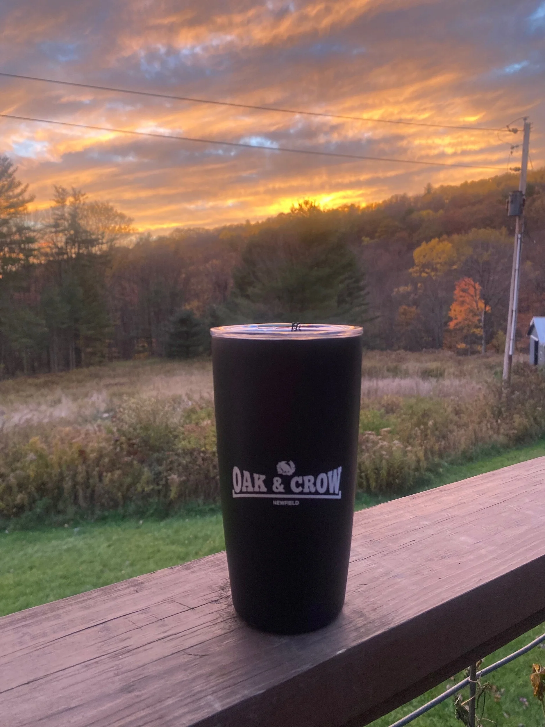 B66DAED5-1F94-4322-8B66-FF24502EEDF3