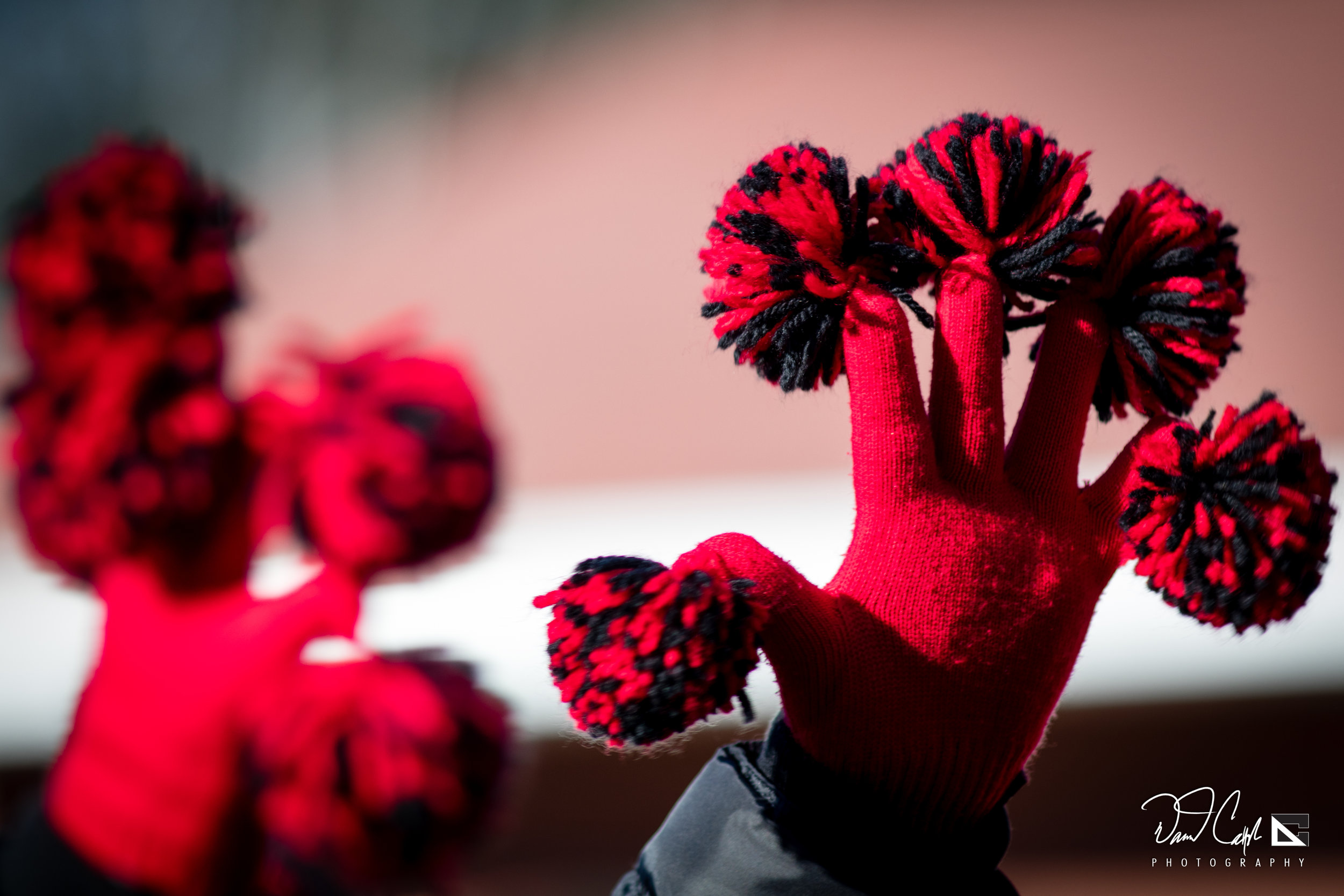 Madison - Southern Final 11.11.17-91.jpg