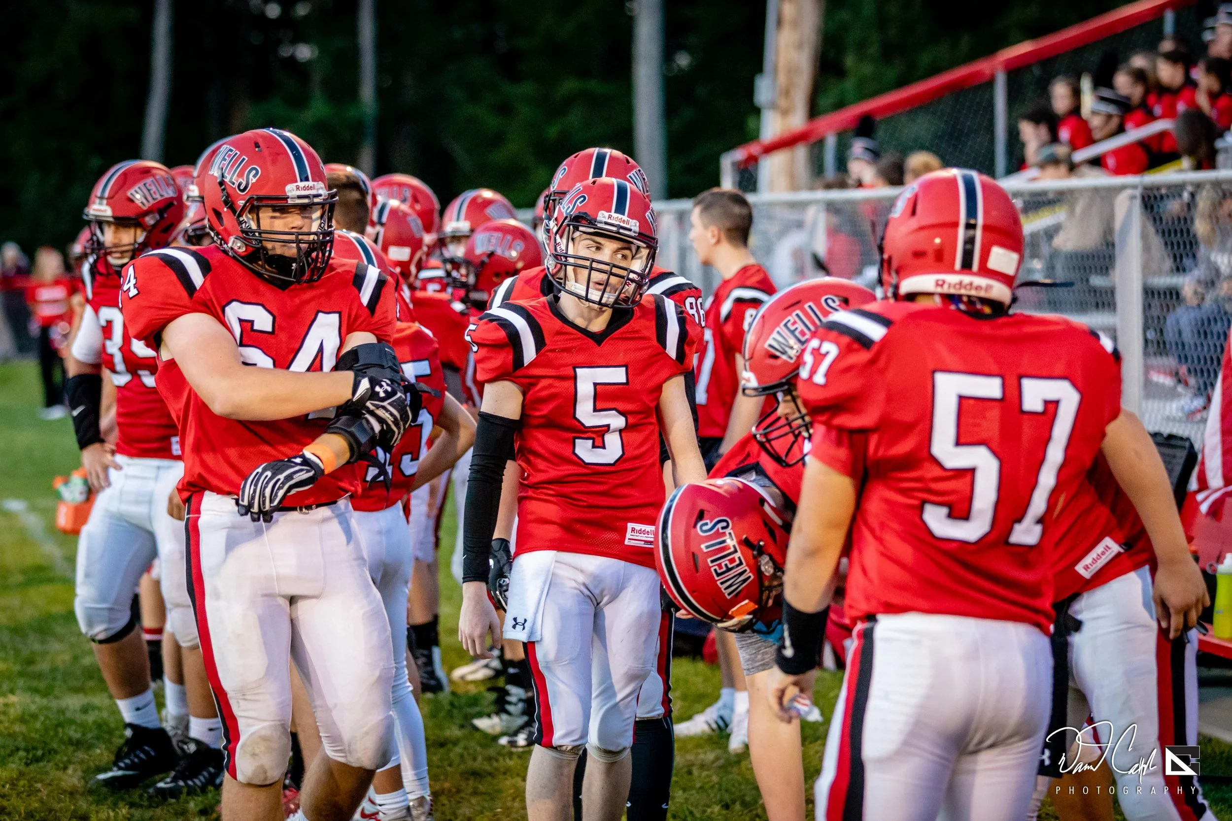 Cape 09.07.18-115.jpg