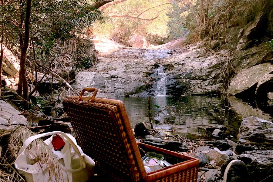 Picnics: Valentine's Edition