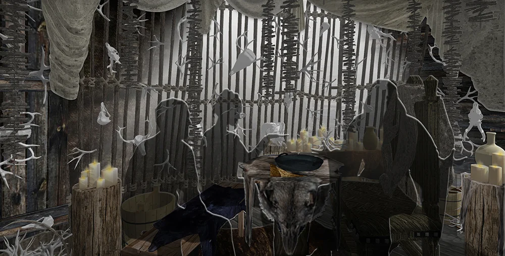 Vikings_2018_Camera_View_sm1.jpg