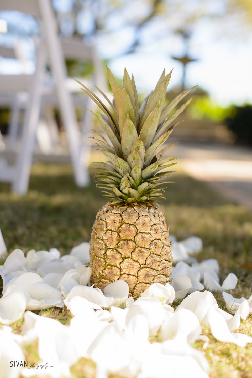 Bluegrass Chic - Gold Pineapple with petal aisle marker