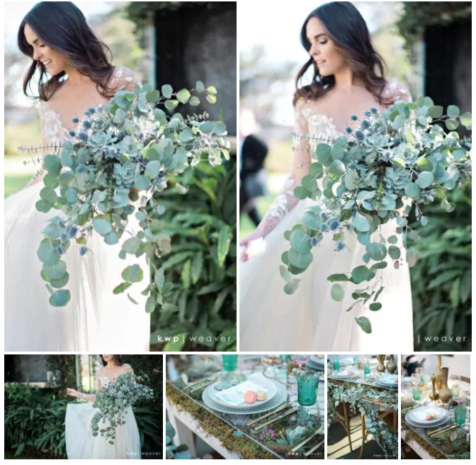 Bluegrass Chic - Eucalyptus and Succulent Bouquet