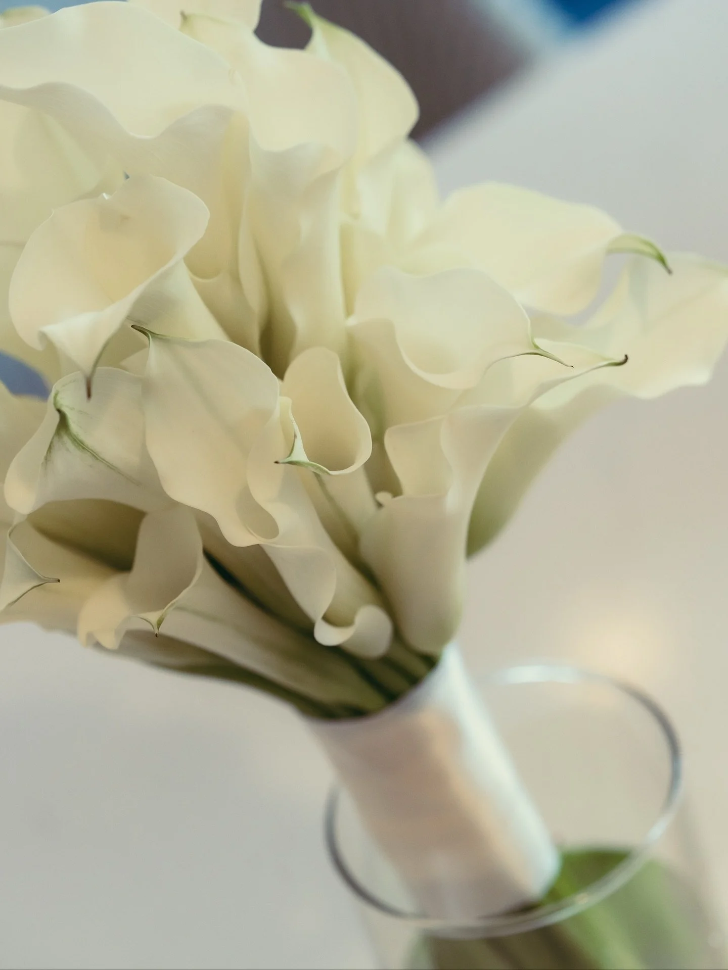 Sumreen’s bouquet🤍 calla lilies are the ultimate elegant look! 
Are you looking for a bouquet like this? We love it - let’s chat!! 
-
-
#orlandowedding #orlandoweddings #orlandoflorist #orlandoweddingflowers #callalily #callalilybouquet