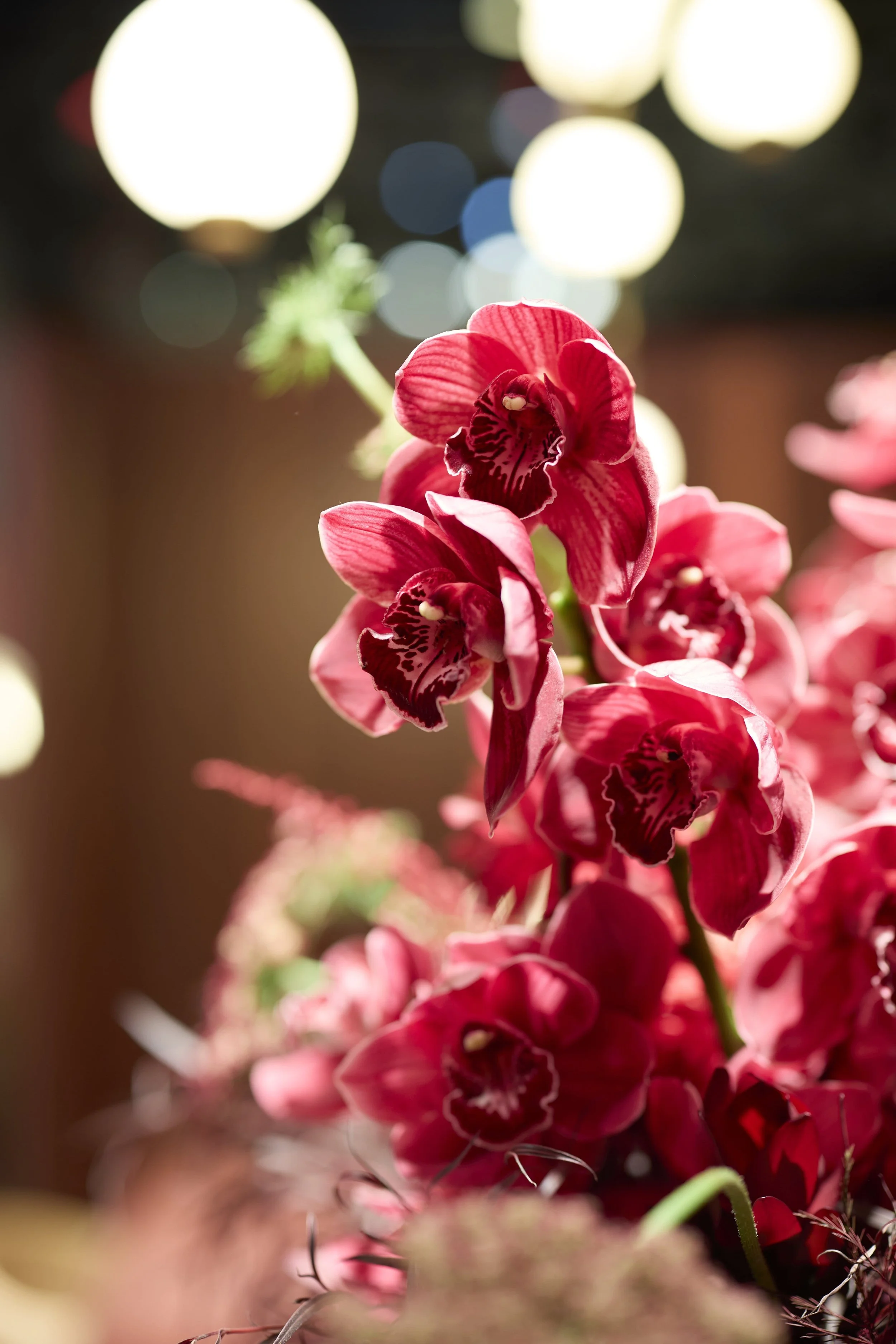 Vibrant Modern Floral Arrangement at KBIS Bluegrass Chic