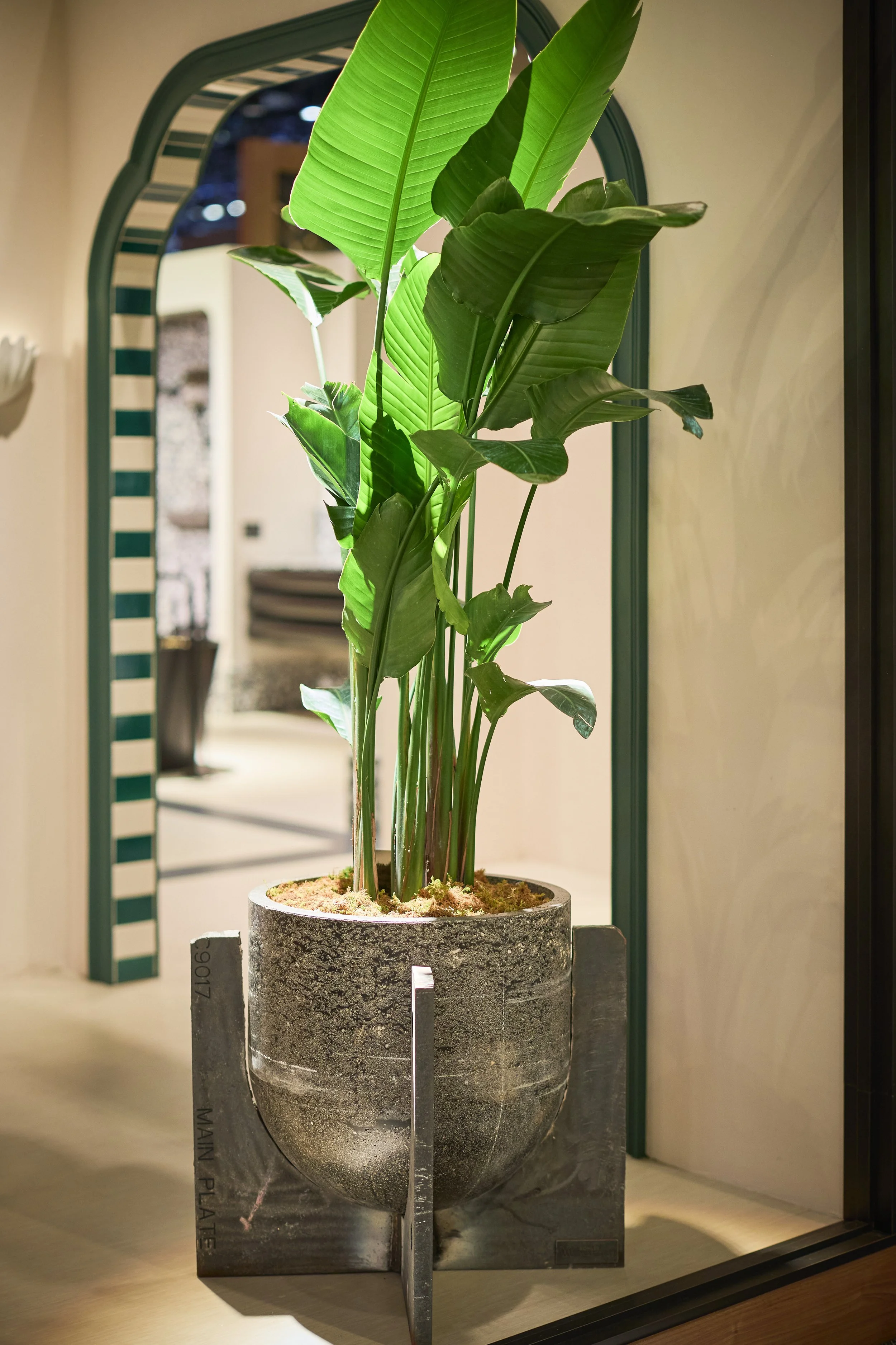 KBIS Plant Rentals BluegrassChic