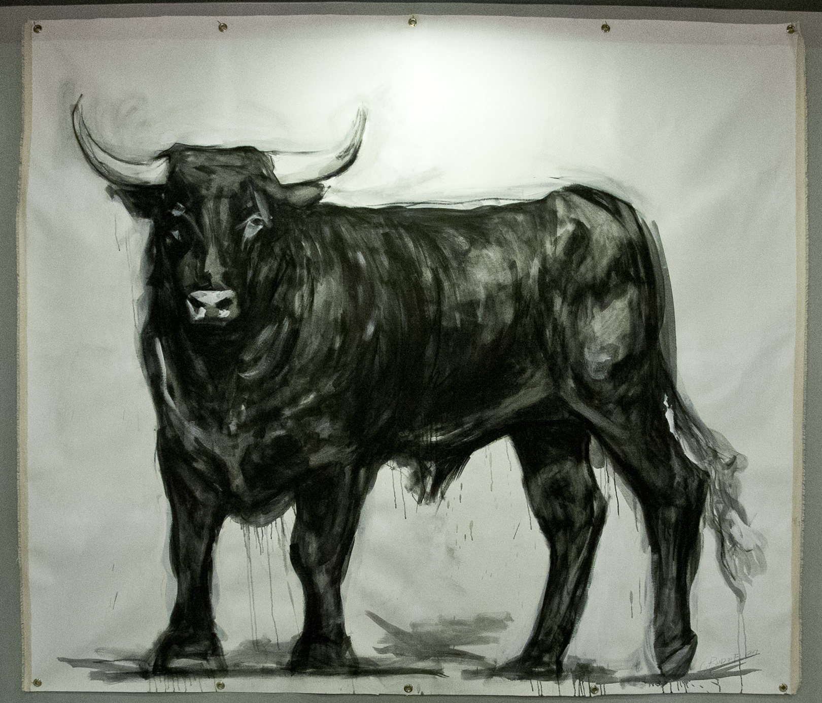 Bull