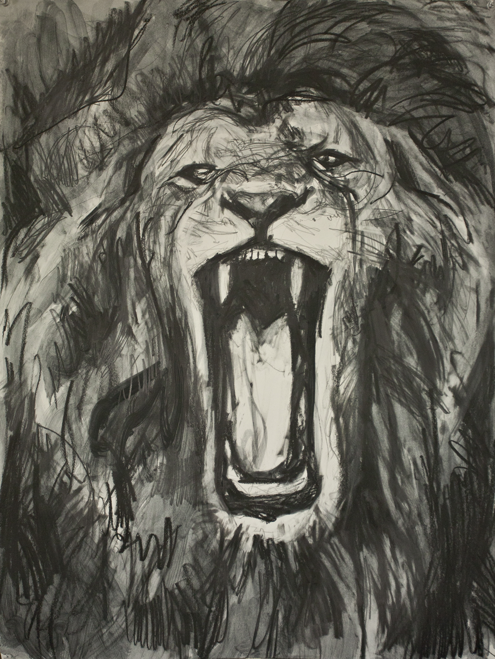 Lion - Pen & Ink [STK1579] - $5.99 : EastardBeach.com, Wildlife Art Decals  and More
