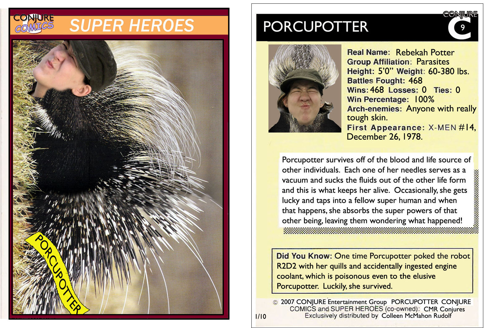 Porcupotter