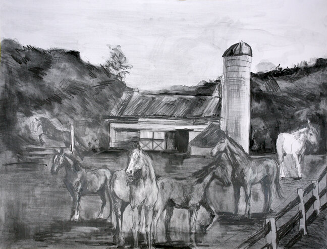Horses of Plainbrook Farm