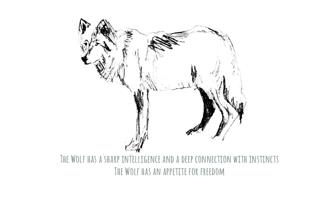 wolf.jpg