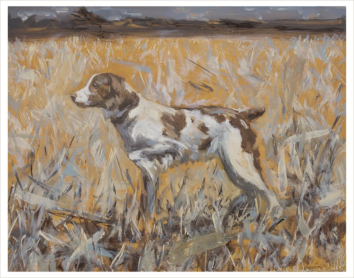 Revised File Brittany in the Field.jpg