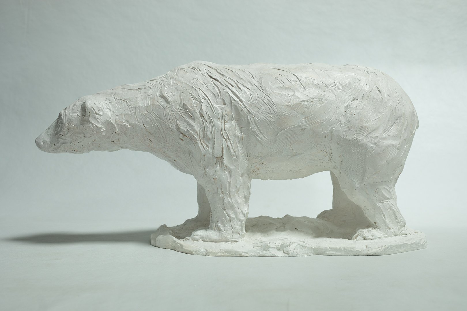 Polar Bear