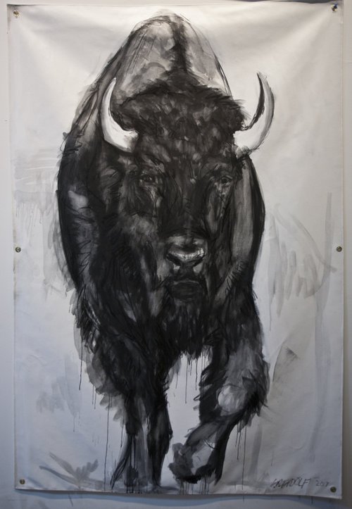 Buffalo+drawing.jpg