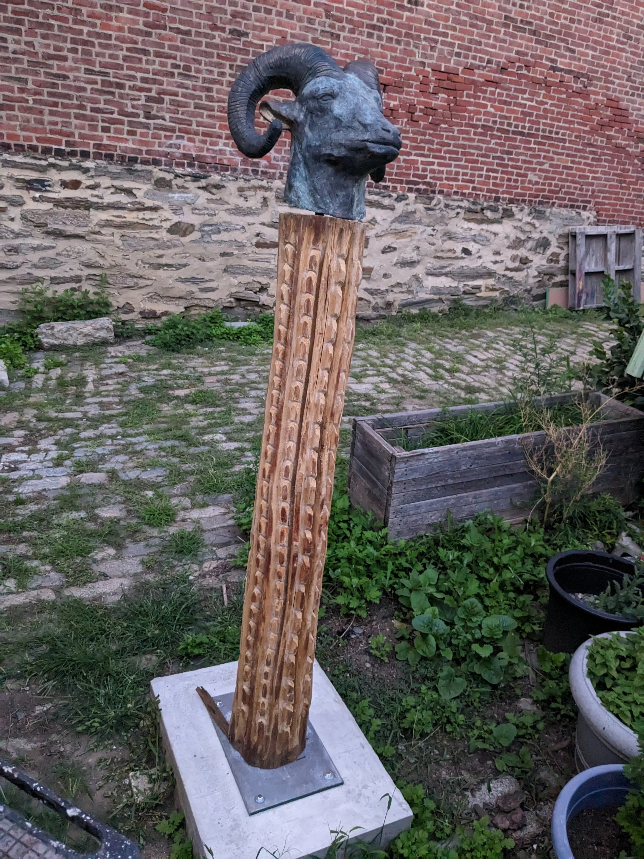 PXL_20230819_000547929.MP.jpg