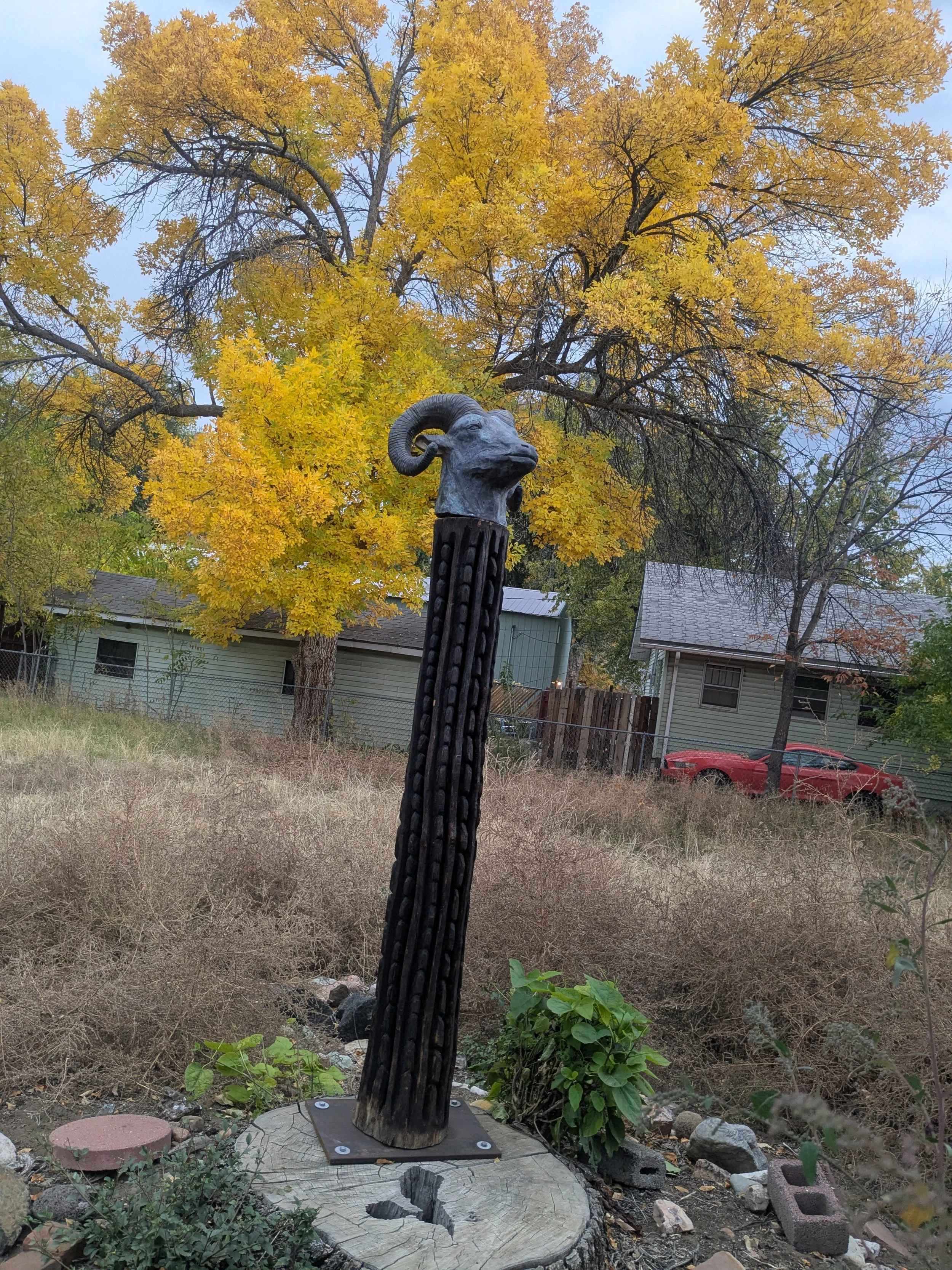 PXL_20251023_223243053.jpg
