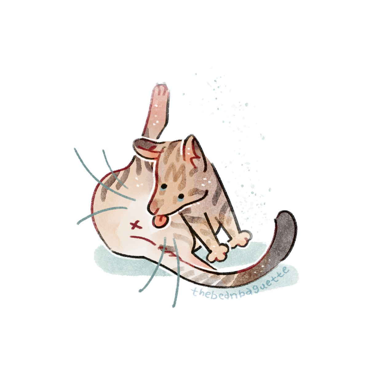 tabby rat.png
