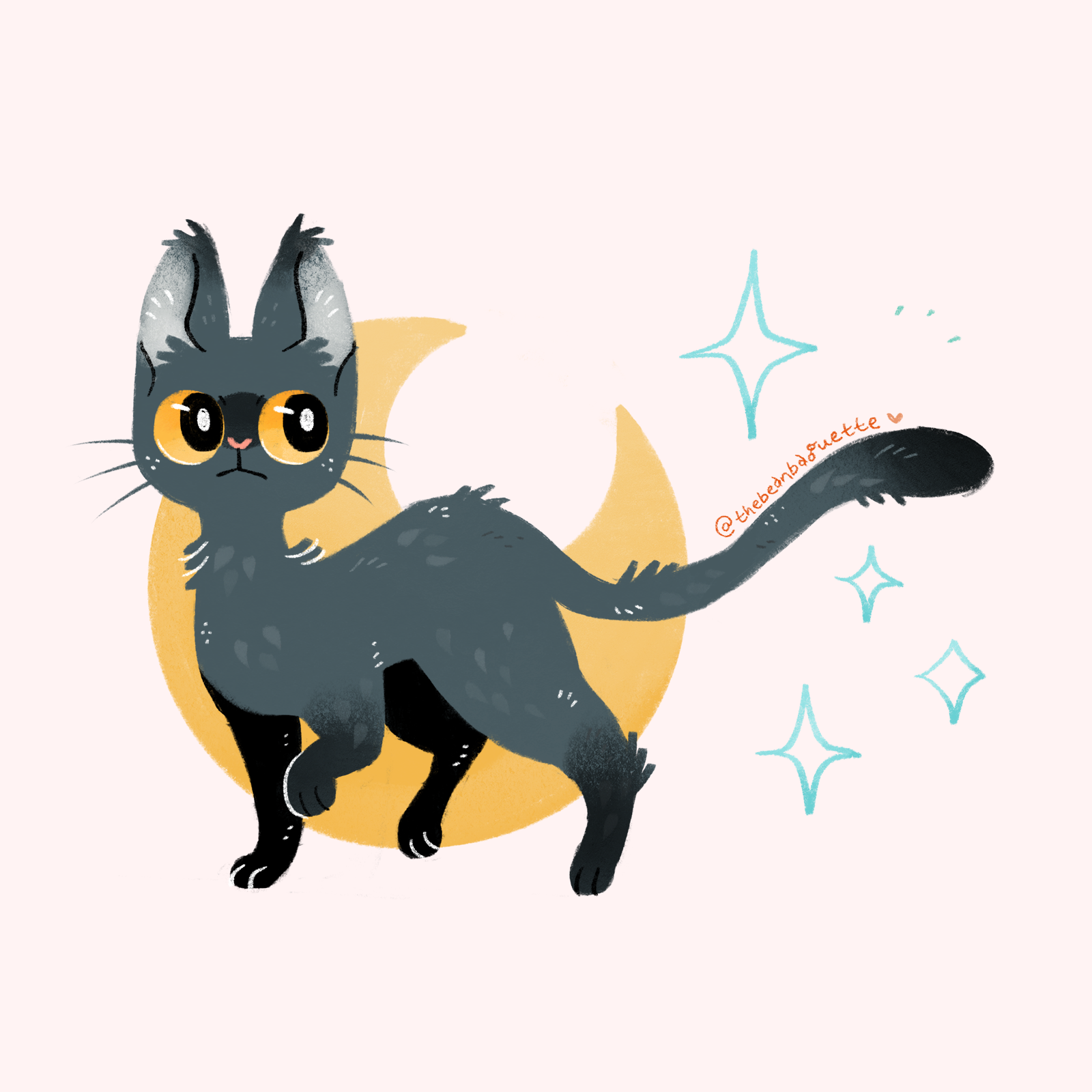 moon kitty.png