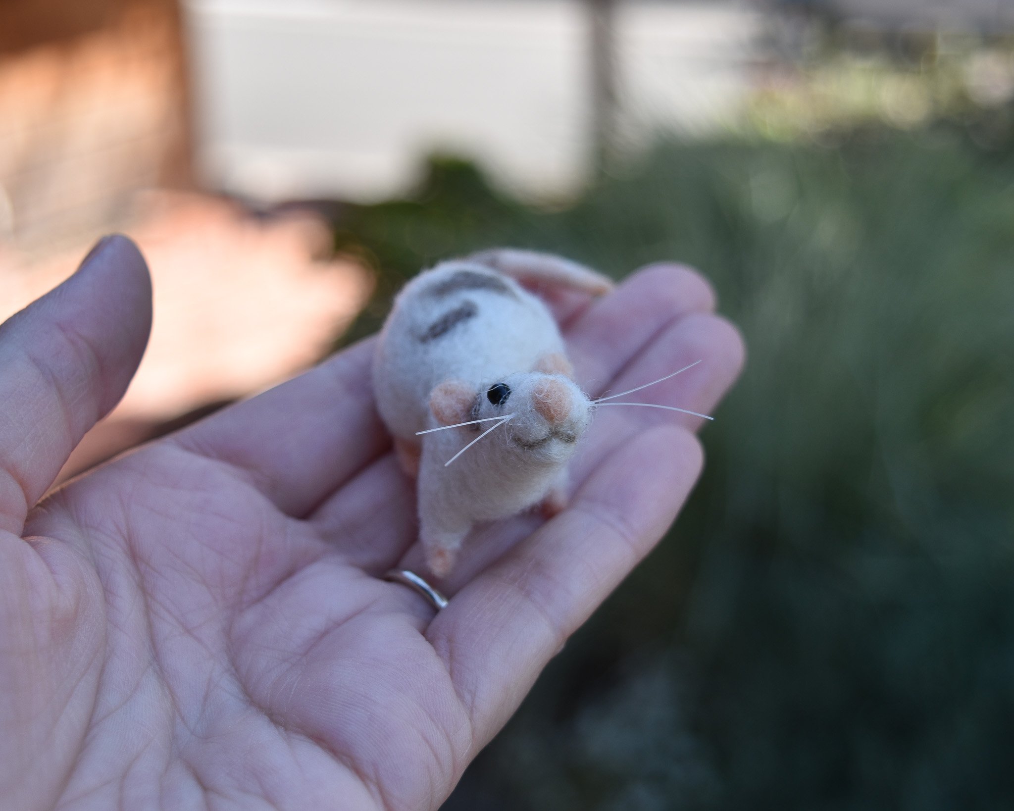 DSC_0051.jpg