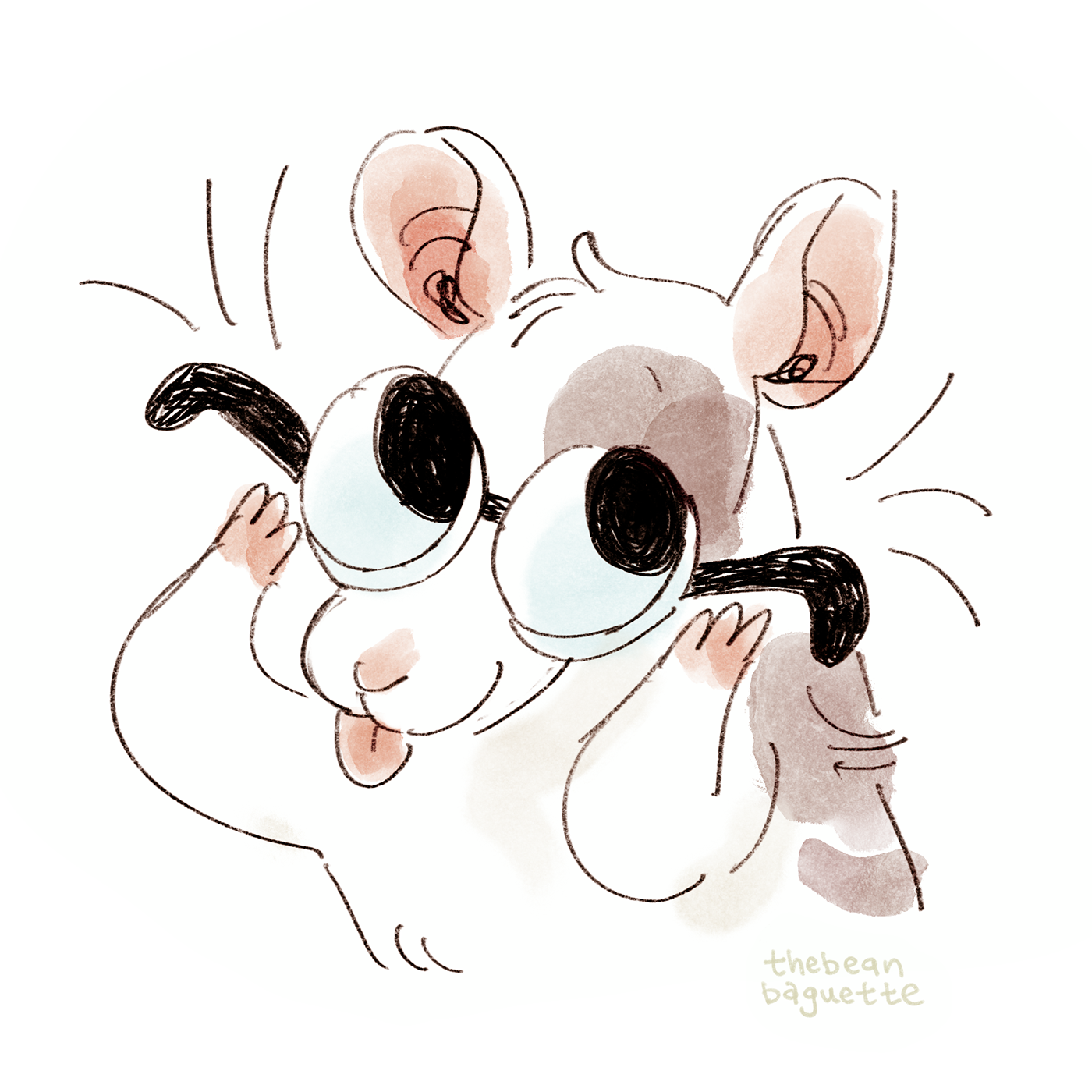 sharp rat.png