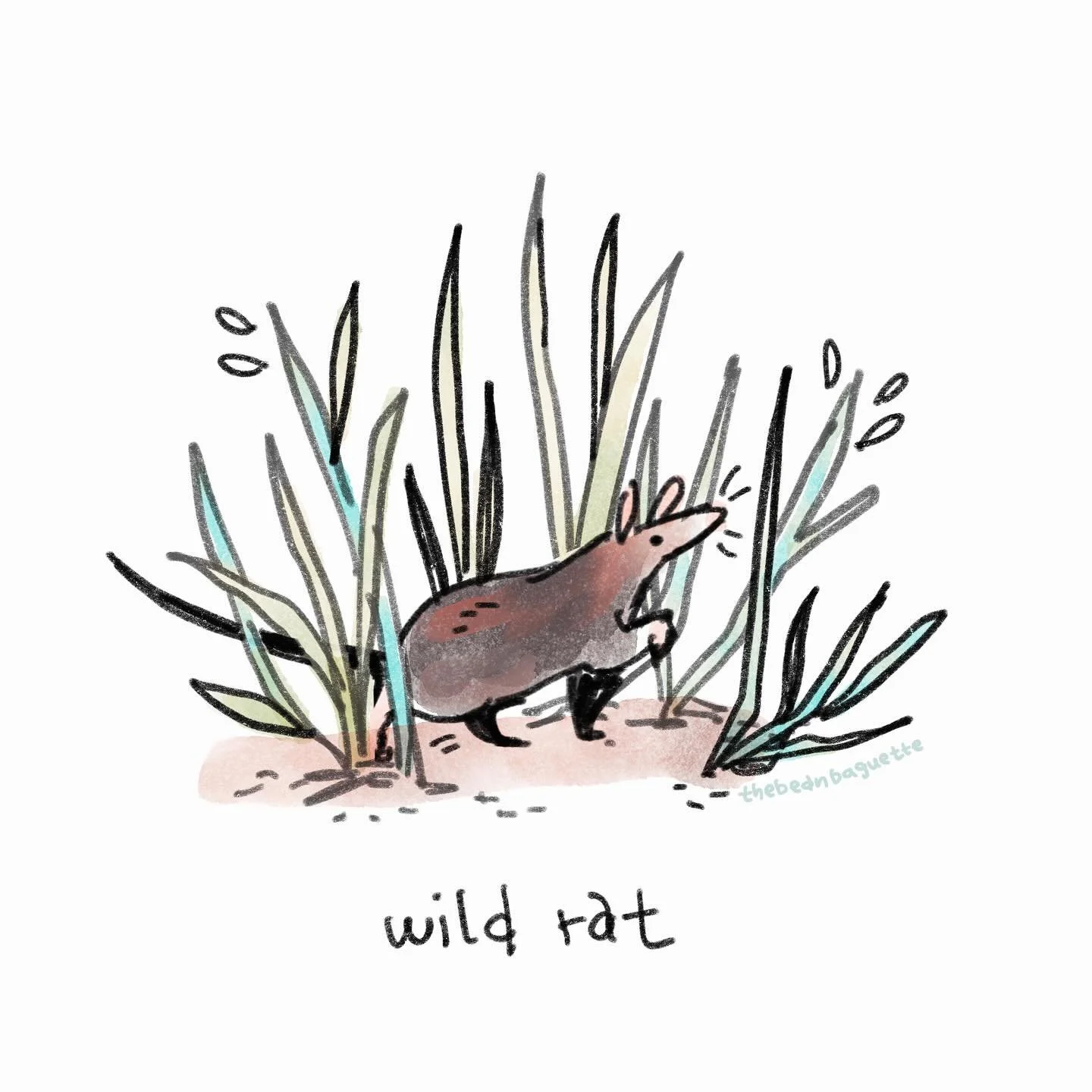 Wild rat from another #rattober prompt list by @artbyinora in 2020