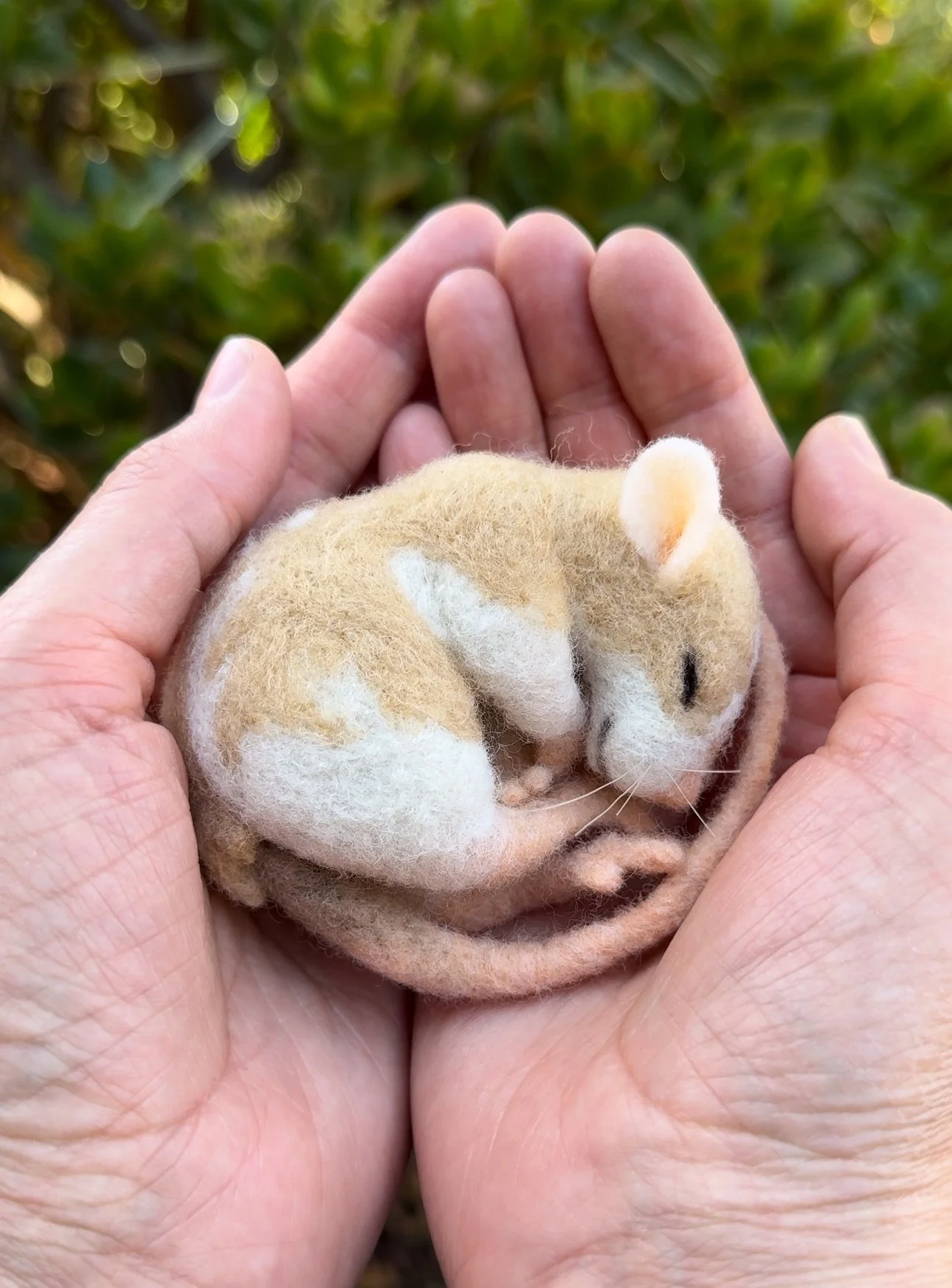 cuddle rat.png