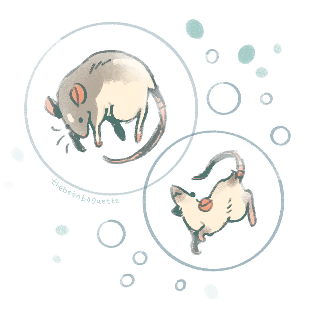 bubble rat2.png