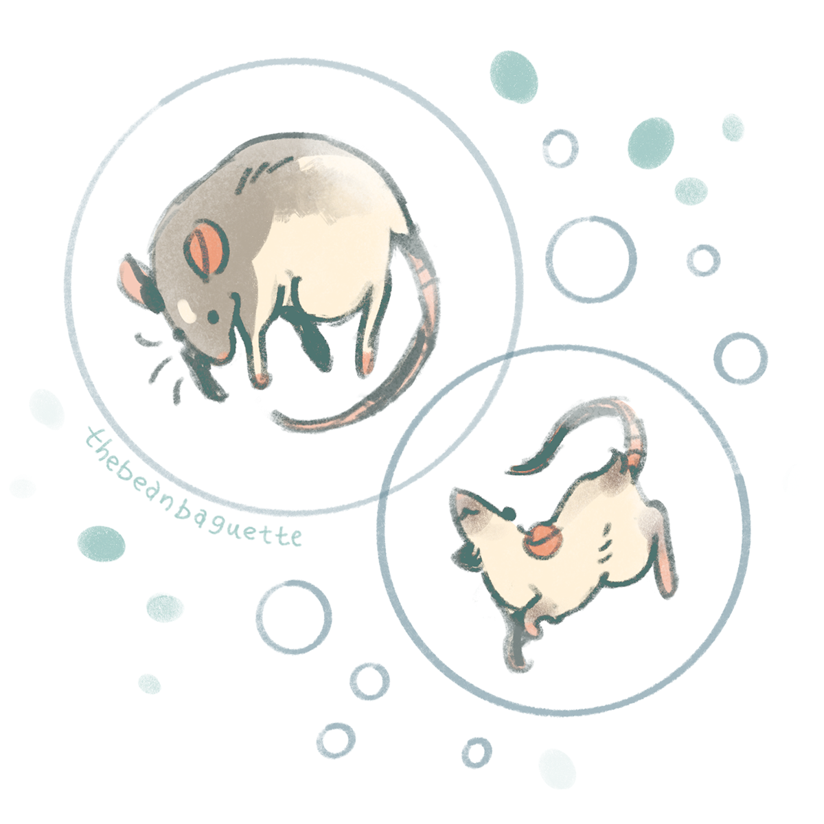 bubble rat.png