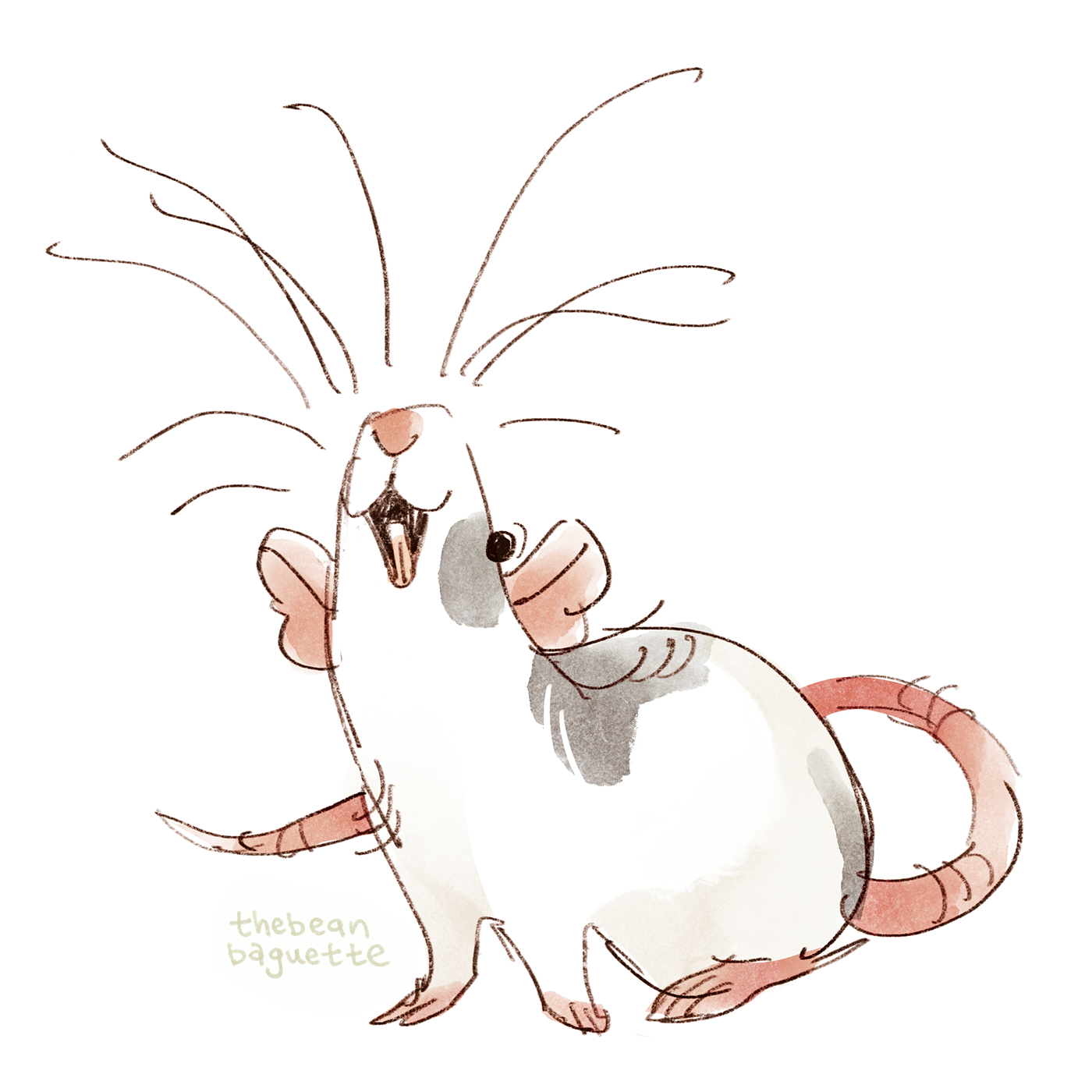whisker.png
