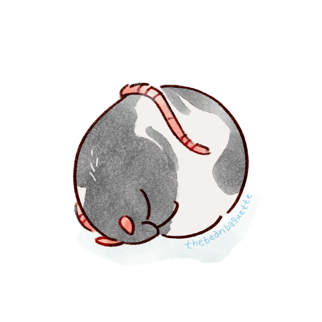 sleepy rat.png