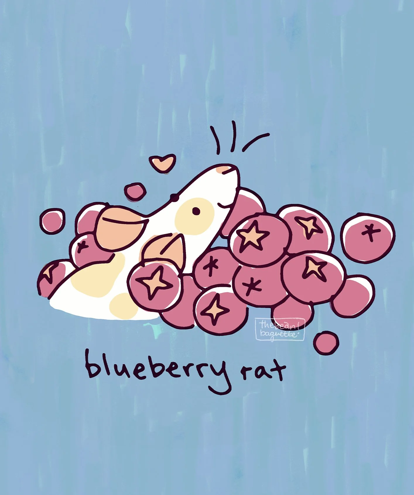 blueberry rat.jpg