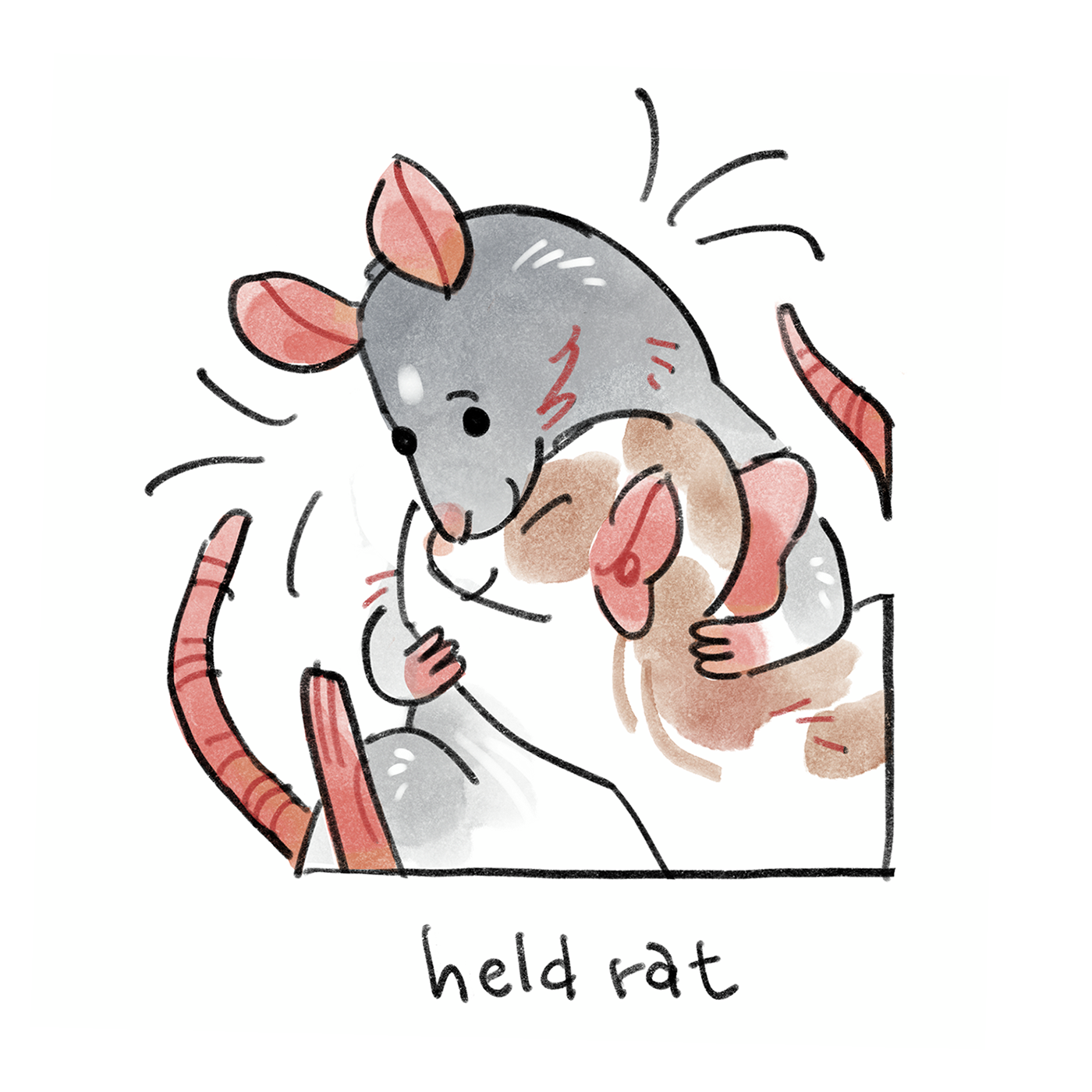 held rat.png