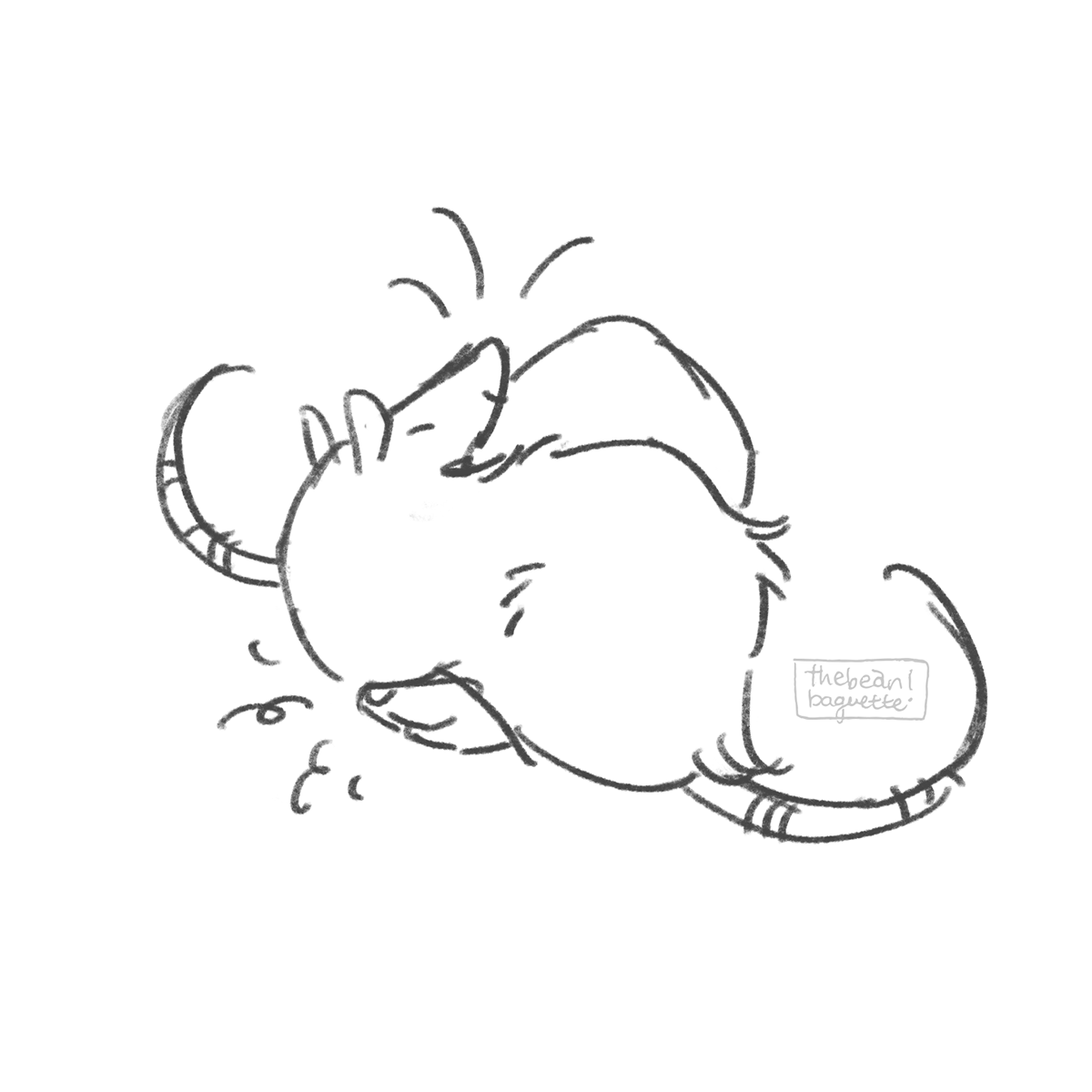 crowded rat.png