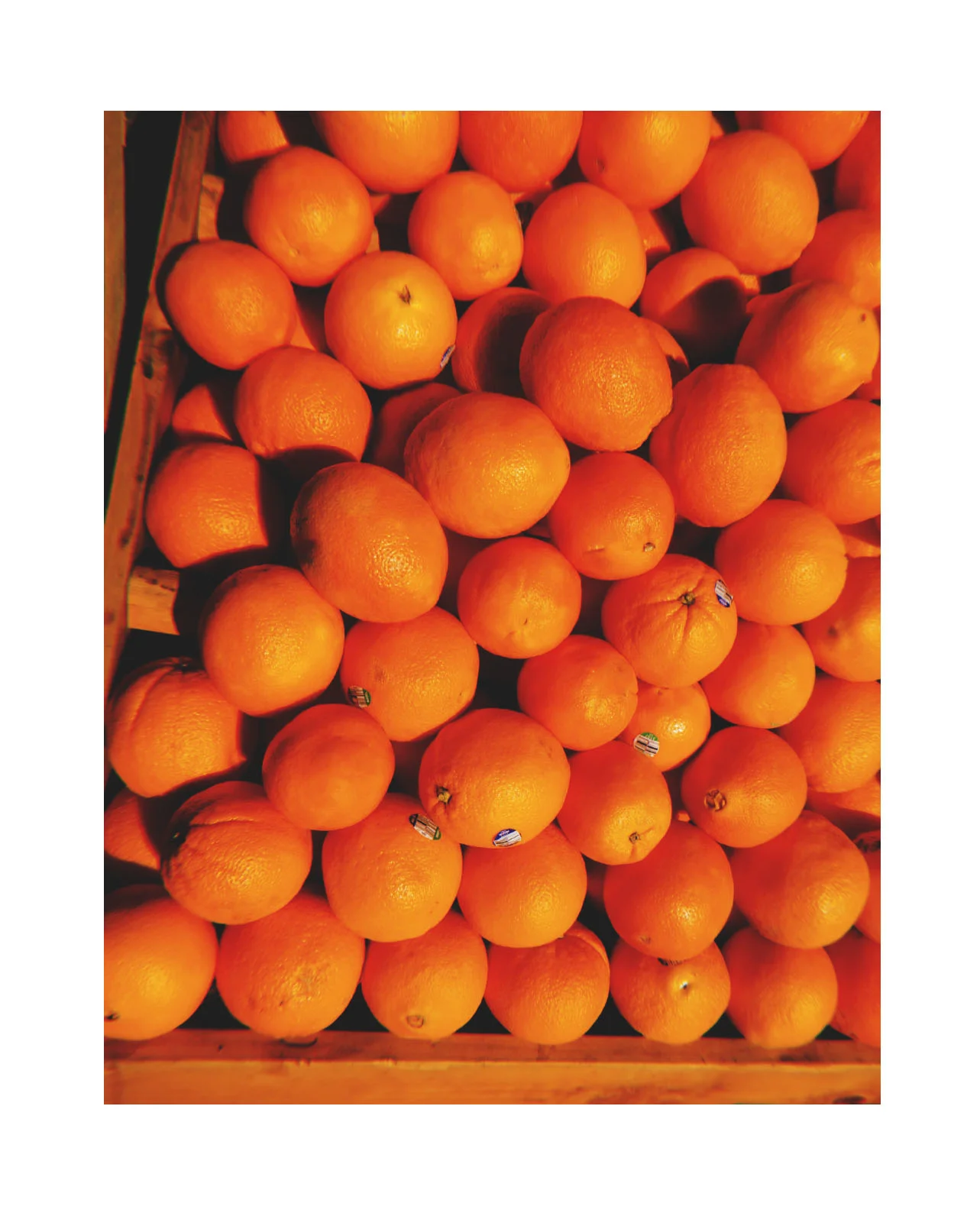 2oranges.jpg