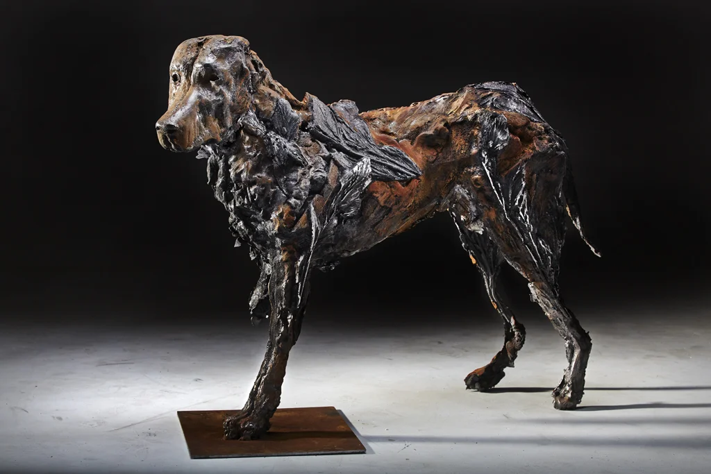 Bird Dog