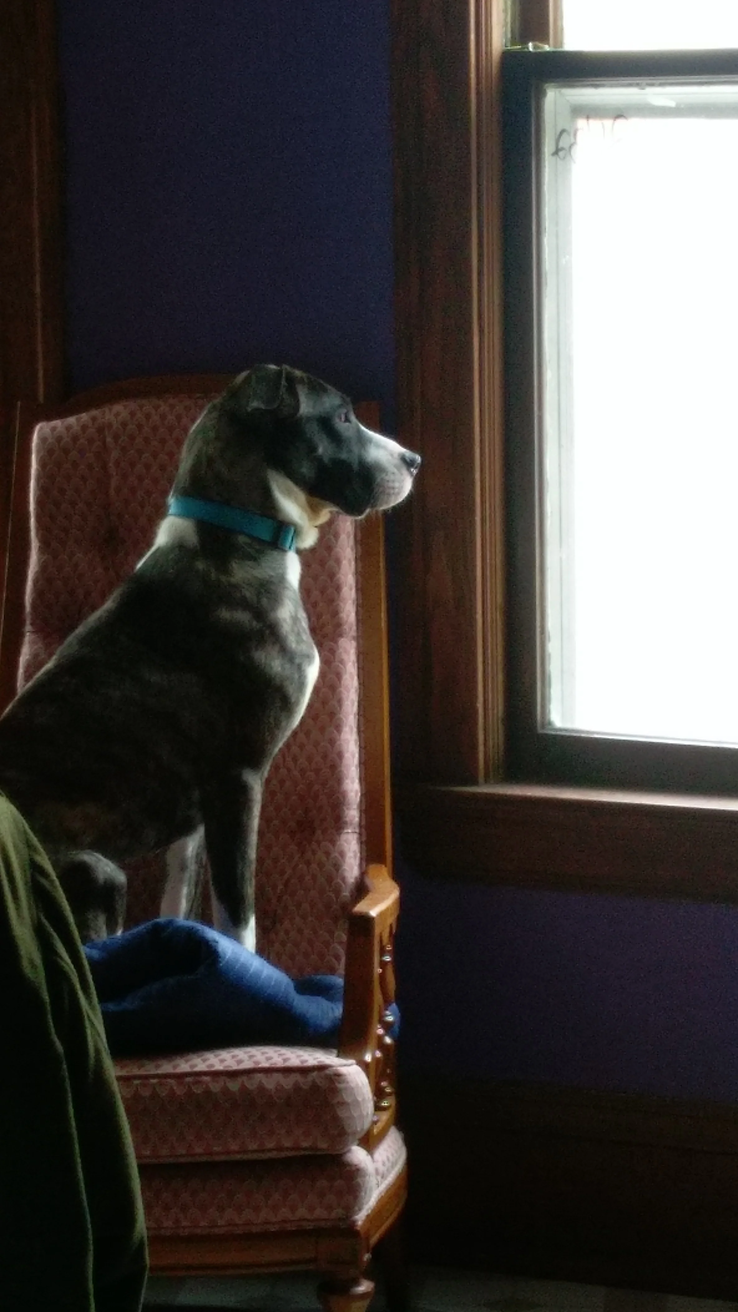 IMAG0977.jpg