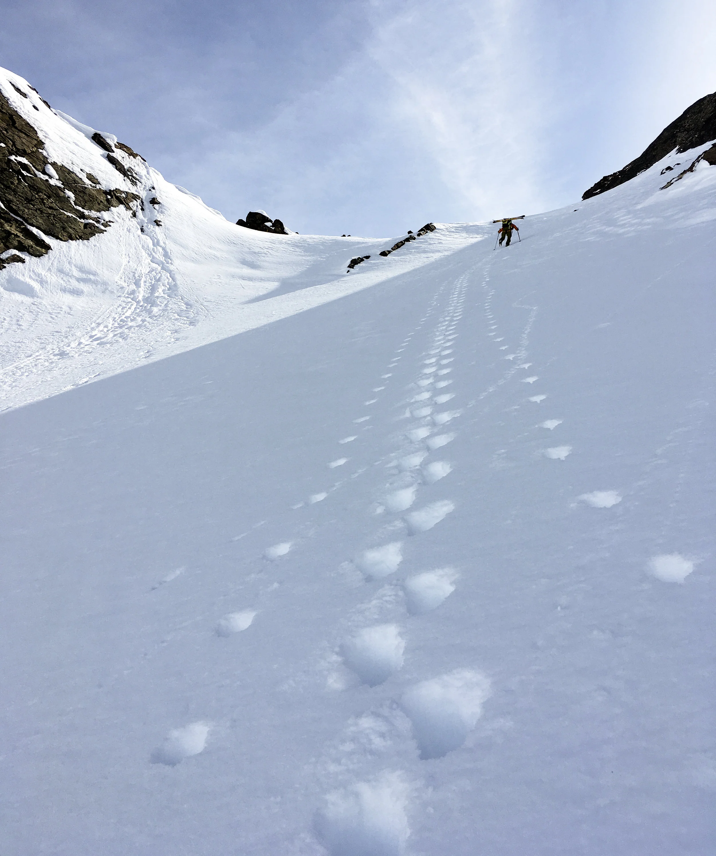 A-Osborn_Wrangells_WheresJerome-7810.jpg