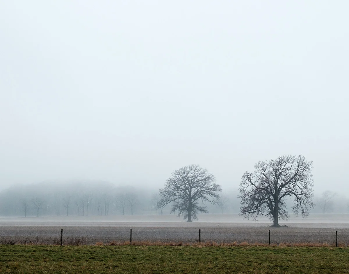 2017.03.31.X-T1.016-Edit-Edit.jpg