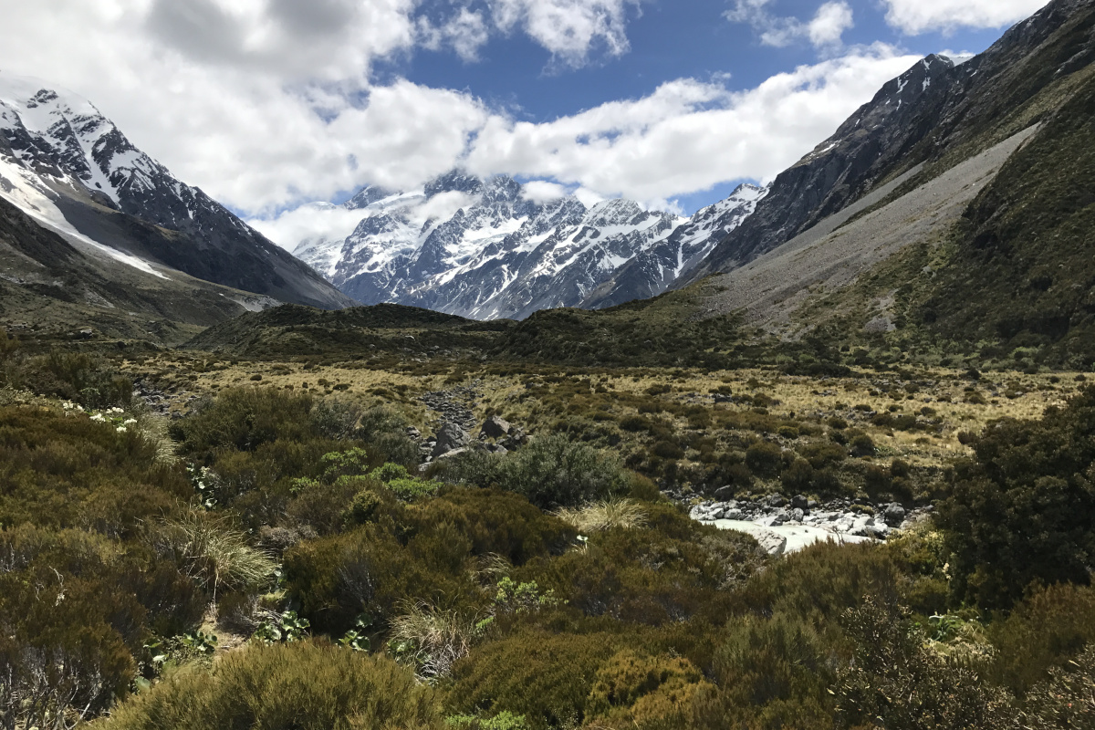 hooker valley trail2.jpg