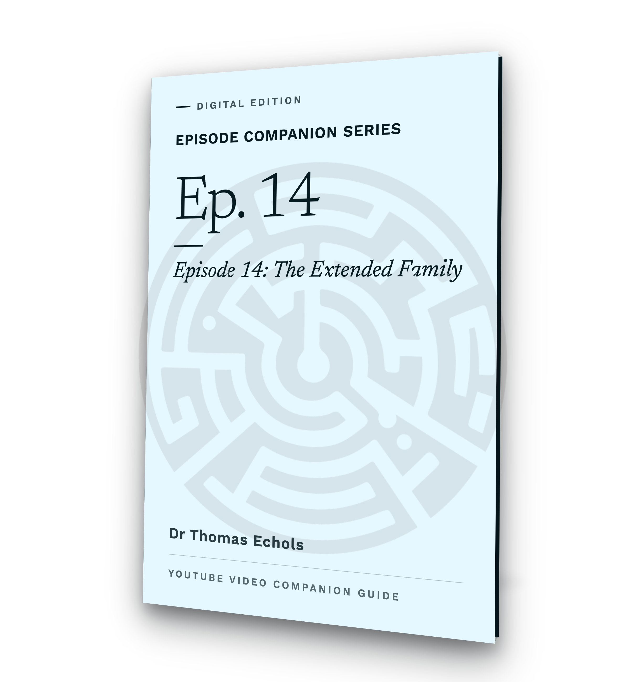 episode-14-the-extended-family-3d-cover.png