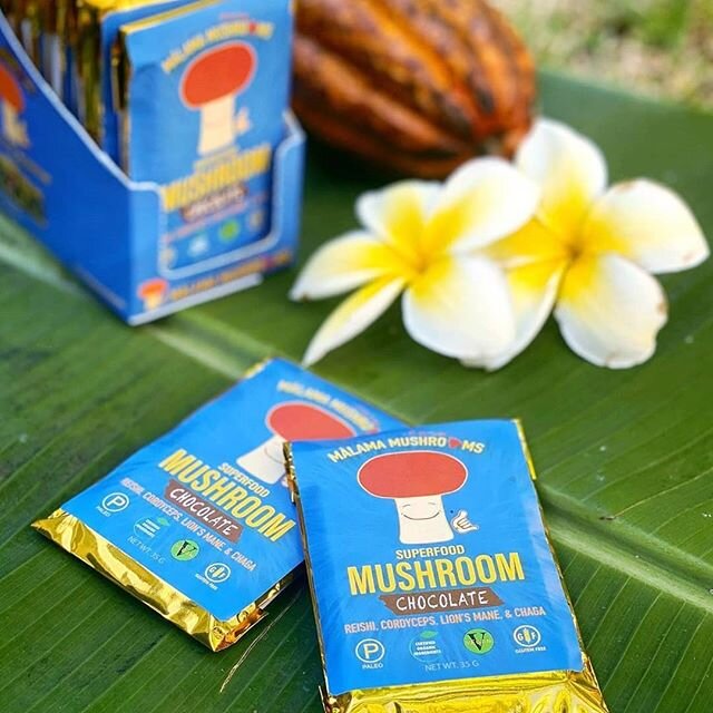 Last but not least, last minute vendor is @malamamushrooms ! With the combined super powers of consciously-sourced cacao + medicinal mushrooms, we can party knowing we're doing good for da &lsquo;āina and our selves too. 🍫🍄⁣⁣
⁣⁣
See you funguys &am