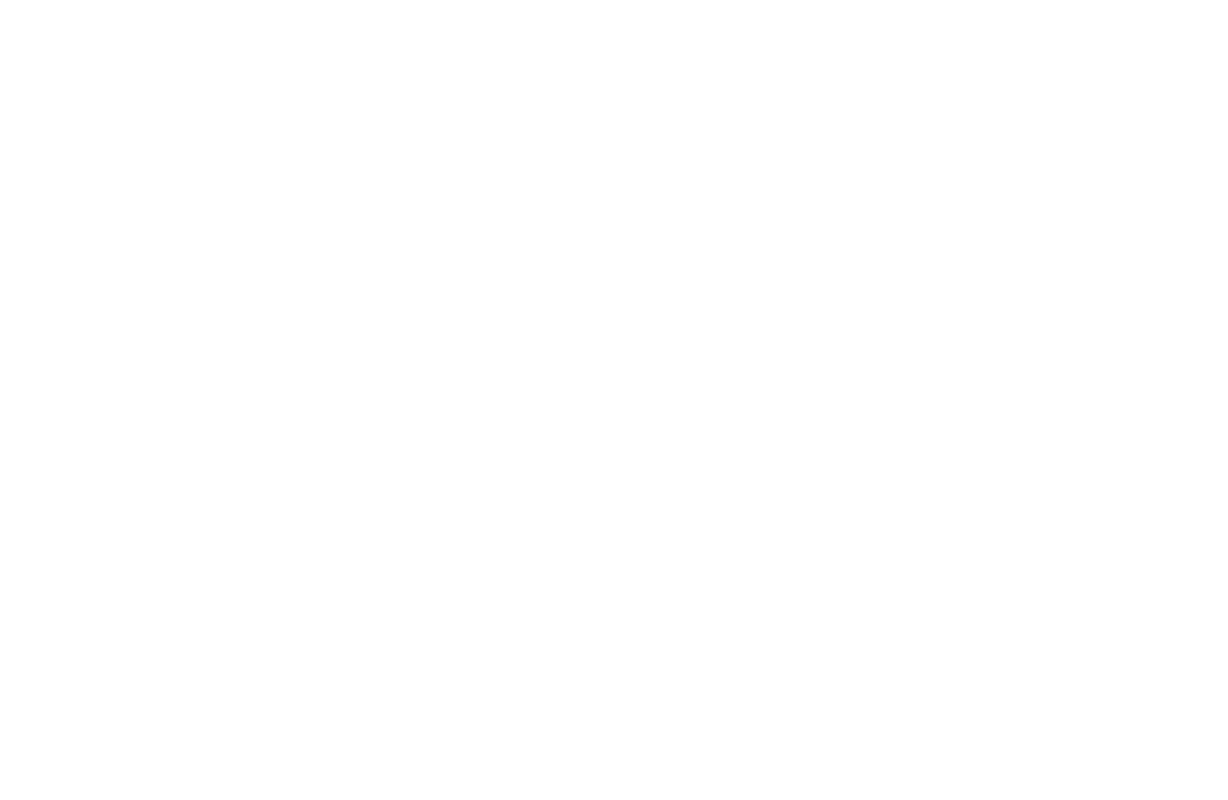 chartered accountant logo white-01.png