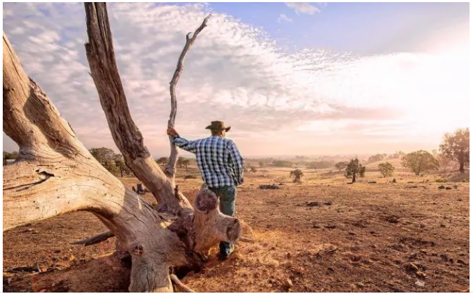 New Immediate Deduction for Primary Producers 