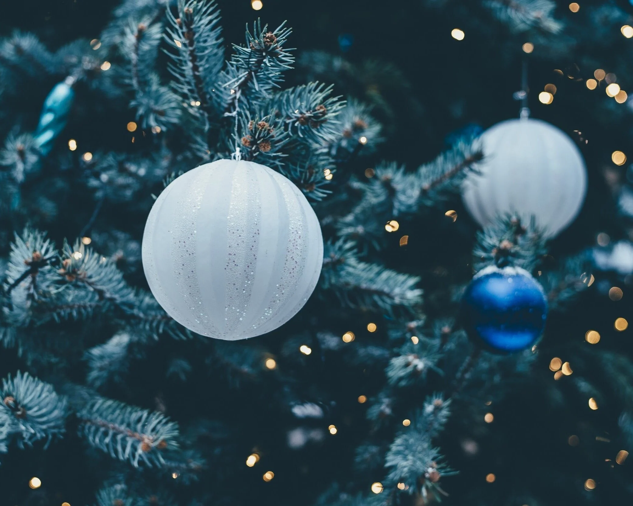 The Season of Giving