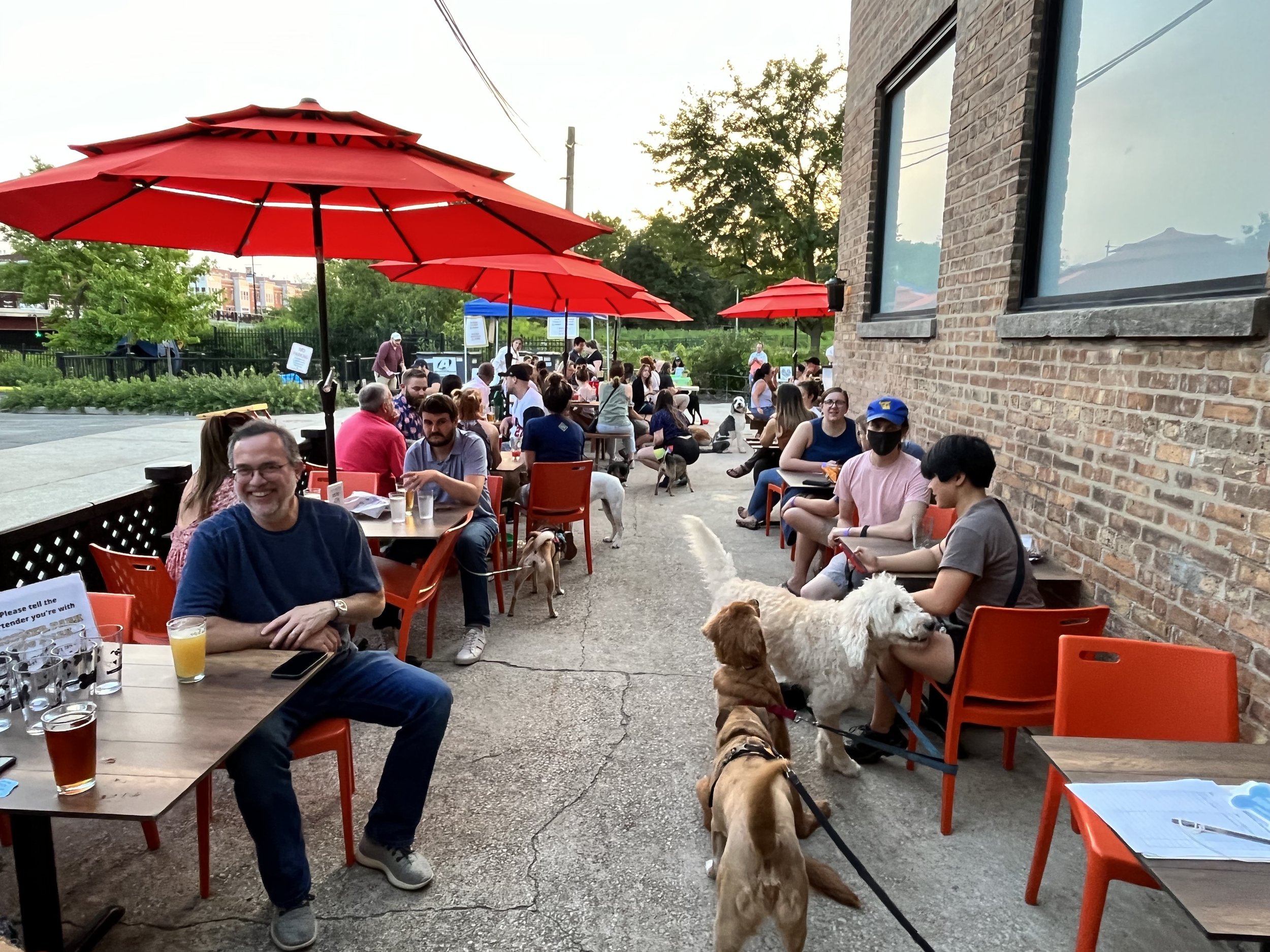 Patio with dogs.jpeg